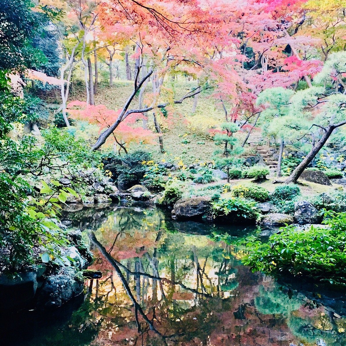 🏞️ 무사시 고쿠분지 공원 이미지 6